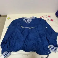 チャンピオン　Champion ナイロンジャケット M 青