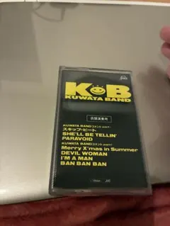 激レア！桑田佳祐 비매품 カセットKUWATA BAND サザンオールスターズ