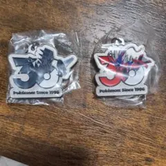 ポケモン 30周年 メタルチャームマスコット コライドン ネクロズマ