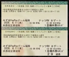 6月11日(木) ソフトバンクホークス×阪神タイガース 外野指定席ペアチケットのサムネイル