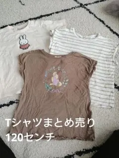 土日限定　シャツまとめ売　120　プティマイン　リセ　ミッフィー　ラプンツェル
