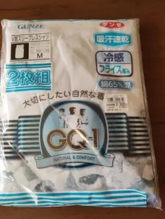 新品　未使用　GUNZE　GQ−1 V首スリーブレスシャツ 2枚組 Mサイズ