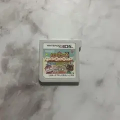 とびだせどうぶつの森 ハッピーホームデザイナー ソフトのみ