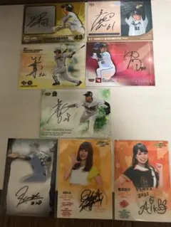 Item thumbnail for item 2164b1af-f3be-4c49-a40c-4b892e53a063