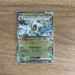 ユキメノコex RR SV3a レイジングサーフ 001/062