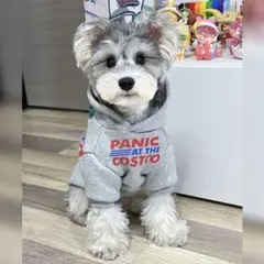 Item thumbnail for item f409c6cf-8852-4366-95a2-9e2c929c5702