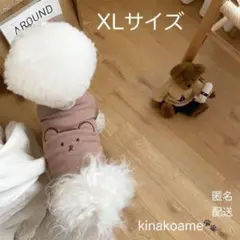ペット服 くまちゃん刺繍Tシャツ XL 犬服 猫服 安心 匿名配送