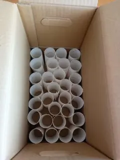 空き芯多数セット