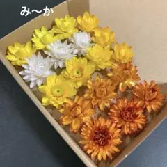 72・ヘリクリサムドライフラワー 花材 リース ハーバリウム ガーランド