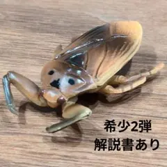 海洋堂 チョコQ チョコエッグ タガメ 昆虫