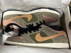 Arts Rec × Nike SB Dunk Low Pro