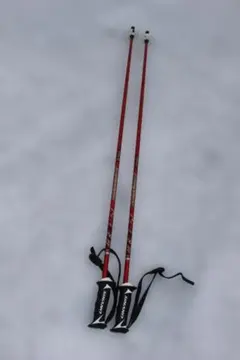 FACTION CANDIDE THOVEX スキー ストック 110cm FACTION CANDIDE THOVEX スキー ストック 110cm - メルカリ