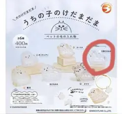 犬　うちの子のけだまだま　三角たれみみ