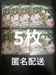 ALL 5枚 ZEROBASEONE デジパック開封済み