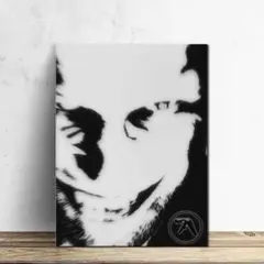 非売品 Aphex Twin エイフェックスツイン ポスター 2026年最新】aphex twin ポスターの人気アイテム - メルカリ