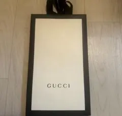 GUCCI グッチ 紙袋 ショッパー ショップ袋のサムネイル