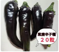 亀田製菓 柿の種 辛旨ガーリック 40g 1袋 - メルカリ