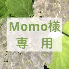 Momo様専用　ロクシタン　石けん　25g × 18個　未使用品　匿名配送