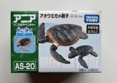アニア　アオウミガメ　親子　水に浮く　AS-20