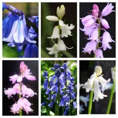 杉田二郎様 リクエスト 2点 まとめ商品