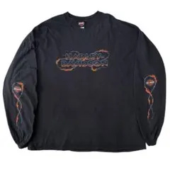 2025年最新】ハーレーダビッドソン Tシャツ フレイムの人気