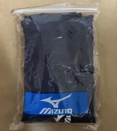 ミズノ　スイムウエア　M
