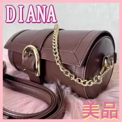 新品級❤️DIANA ダイアナ ロール型 ミニBAG バッグ ダークブラウン
