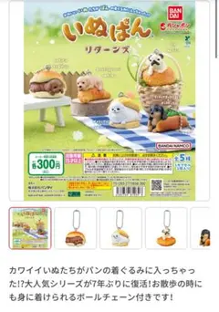 いぬぱんリターンズ　ガチャガチャ　パグ