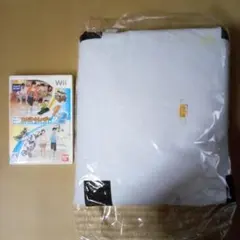 wiiソフト　ファミリートレーナー1&2マット付き