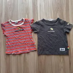 【アーノルドパーマー】 80cm Tシャツ セット