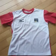 Mizuno バレーボールシャツ 大阪2001