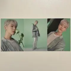 SEVENTEEN HANABI ホシ トレカ ③