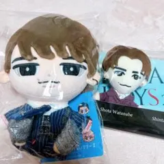 SnowMan 渡辺翔太 すのチル ドリボ ぬいぐるみ