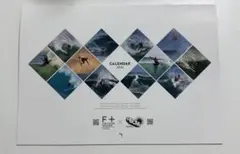 Item thumbnail for item b52064f0-2753-4dab-8a60-87fbd069f673