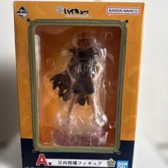 日向翔陽フィギュア ハイキュー!! 10周年記念