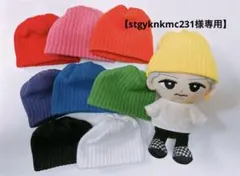 【stgyknkmc231様専用】