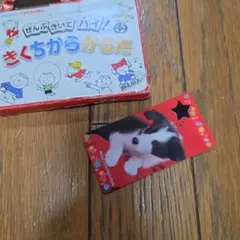 Item thumbnail for item 11e19a9b-cbc1-453a-be36-c739f3ecda60