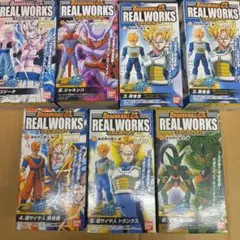 ドラゴンボール改　リアルワークス　異世界の戦士編　全種セット