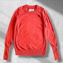 ◆アバクロンビーアンドフィッチ　ニット　セーター　ロゴ　刺繍　コットン　オレンジ