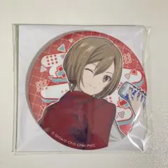 はぴこれ　MEIKO 缶バッジ