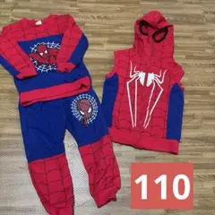 スパイダーマン セットアップ　110