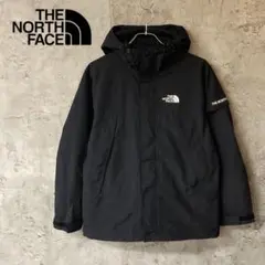 大人気　THE NORTH FACE マウンテンパーカー ナイロンパーカー　刺繍