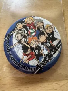 【レア柄】ハイキュー！！collection 缶バッジ 第5弾　マット加工レア