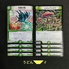 青銅の鎧 シビレアシダケ 新枠 各4枚