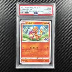 2026年最新】ヒトカゲ S psa10の人気アイテム - メルカリ