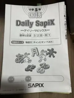 値下げ sapix 6年国語教材 デイリーサピックス国語B読解と記述一式
