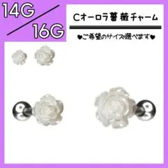 Item thumbnail for item 8fb27350-987f-46dd-b951-0bd41d2ec38f