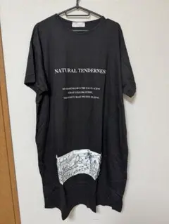 Tシャツワンピース 黒 フリーサイズ