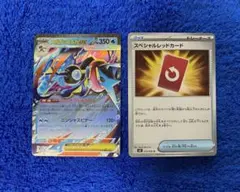 メガゲッコウガex RR スペシャルレッドカード2枚