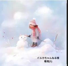 イルカちゃんねる様 リクエスト 6点専用(1)